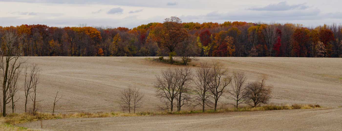 fallow-ground
